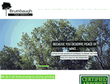 Tablet Screenshot of brumbaughtrees.com